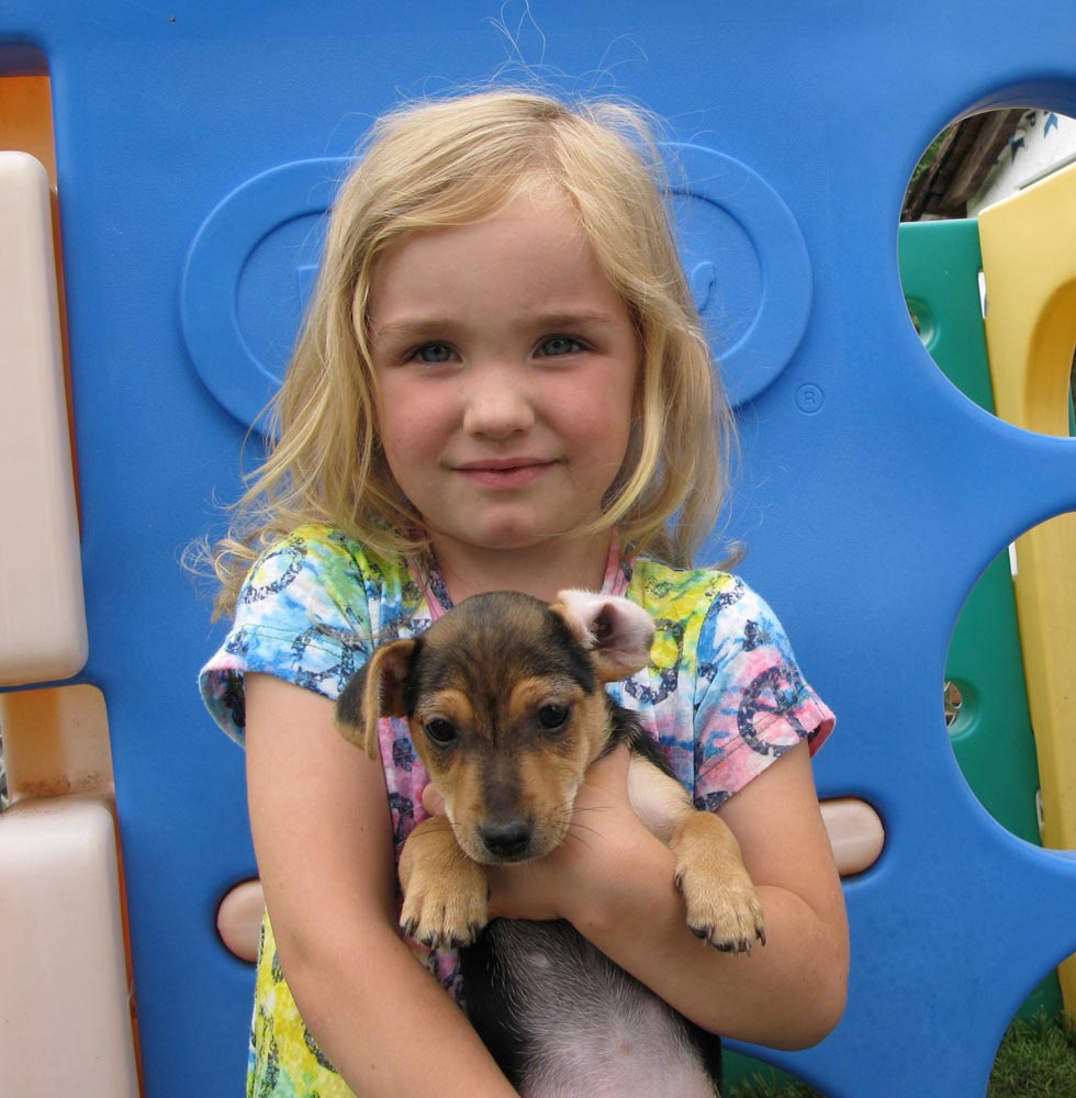 Come see Jade and Dugan's irish jack puppies